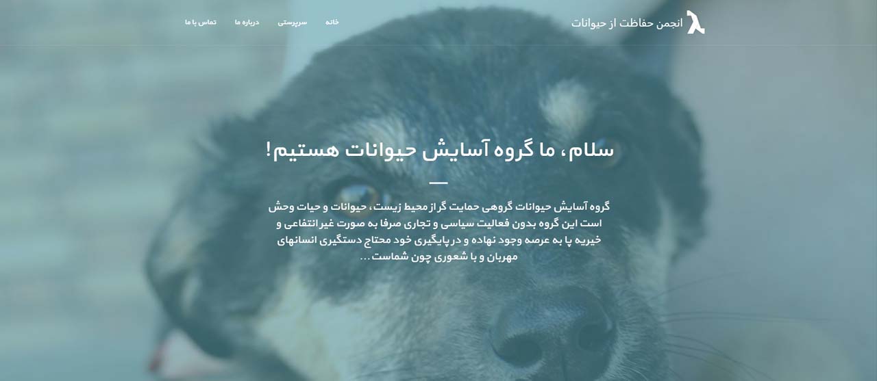 طراحی وب سایت irananimalwelfare